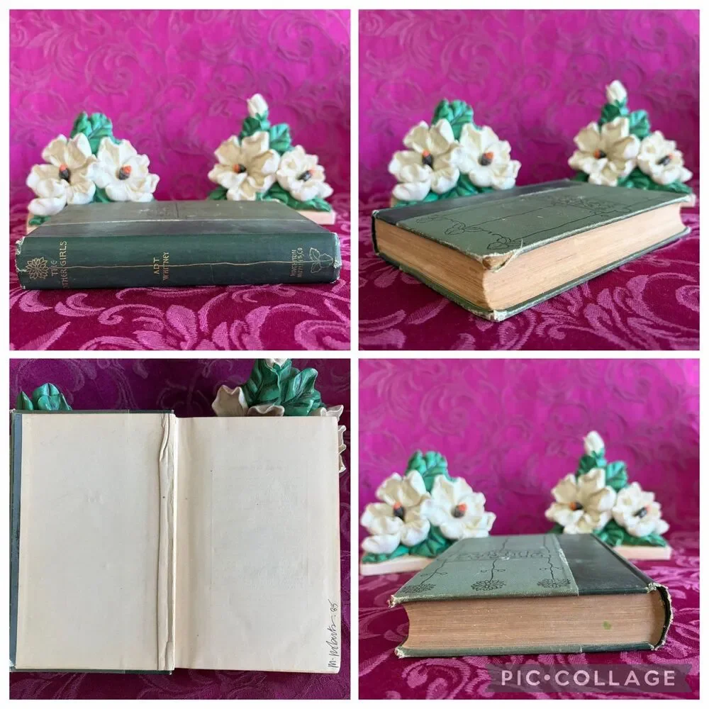 1894 The Other Girls by Mrs. A. D. T. Whitney, Victorian Women’s Antique Fiction